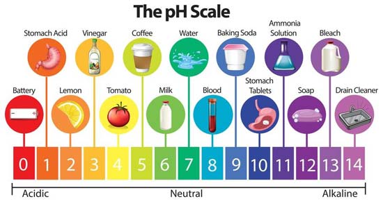 pH scale with different foods and household items